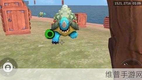 创造与魔法，乌龟驯服秘籍大公开