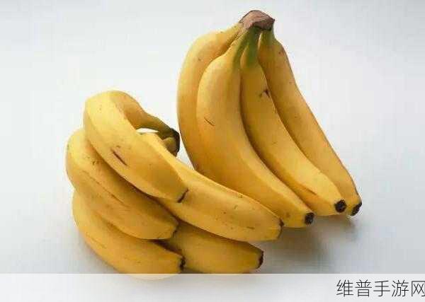 太阳城香蕉视频：1. 体验太阳城香蕉视频带来的无尽乐趣与激情