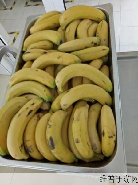 太阳城香蕉视频:1. 体验太阳城香蕉视频带来的无尽乐趣与激情