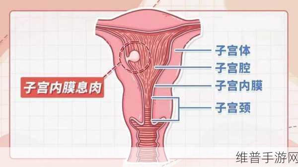 大蘑菇进入子宫的10个原因：1. 深入探讨大蘑菇对女性生殖健康的影响