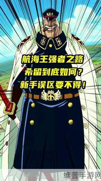 航海王强者之路，官服与混服差异大揭秘