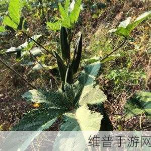 jmtt2.mic网页版登录2024：1. ＂如何在JMTT2.MIC网页版上轻松登录并管理账户