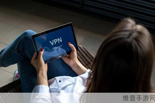 污软件破解版：1. 破解污软件的终极指南：安全与风险分析