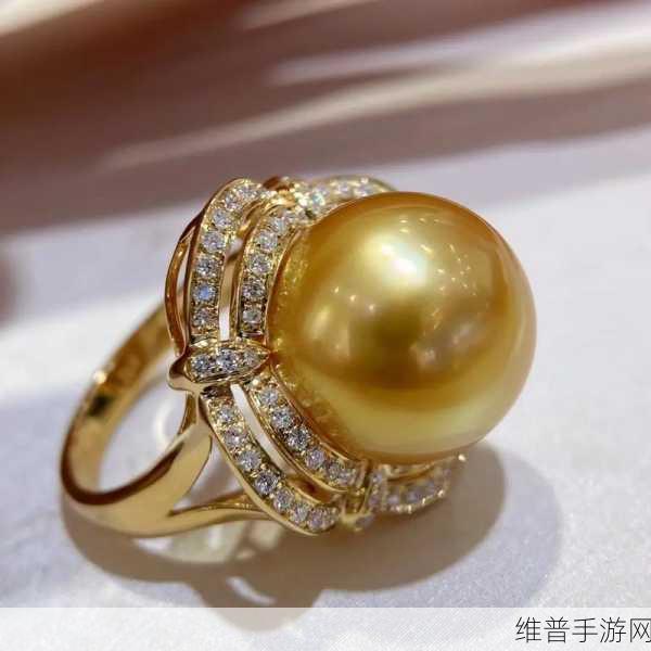 精炼戒指:1. 精炼戒指:完美与艺术的结合