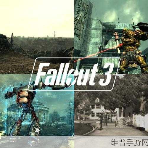 辐射3显卡：辐射3：废土重生之路——探索新世界的冒险