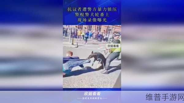 亚洲无人区一码二码三码区别：1. 亚洲无人区一码二码三码解析与应用探讨