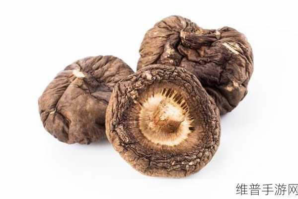 蘑菇黑料视频:1. "深入探讨蘑菇黑料背后的真相与影响