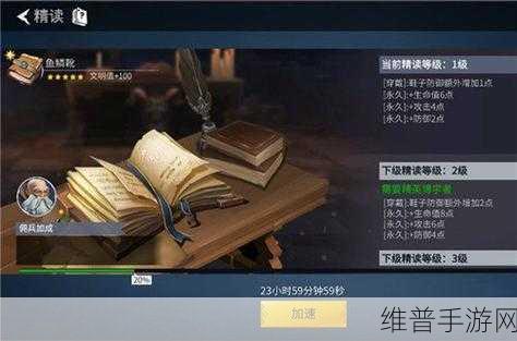 冰原守卫者，储存空间分配秘籍大公开