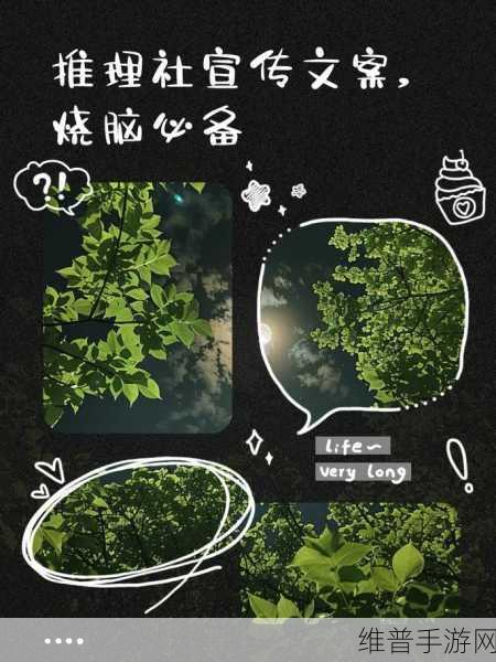 真相推理达人，解锁乐趣无穷的解谜之旅