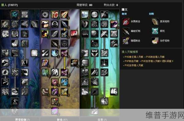 魔兽世界335射击猎攻略最详细:1. 深入解析魔兽世界335版本射击猎的技能机制与输出技巧