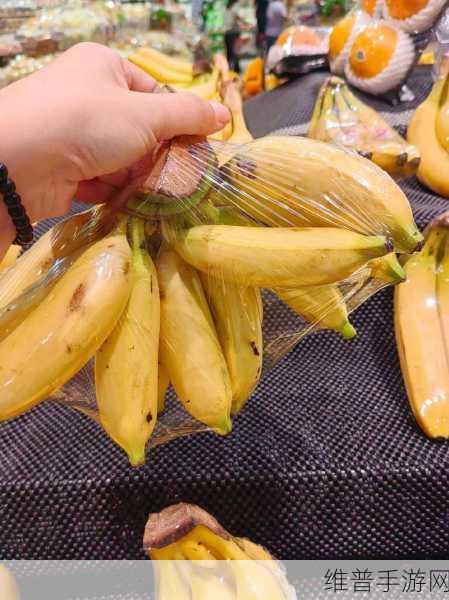 香蕉视频免费看:1. 香蕉视频:畅享无限精彩,随时随地观看