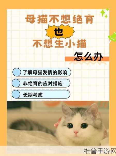 黑料不打：当然可以！以下是一些基于“黑料不打”的新标题建议，每个标题均不少于10个字：