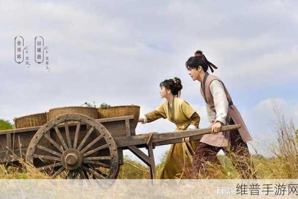 儿子替父耕亩田:1. 浓情岁月:儿子替父耕田的感人故事