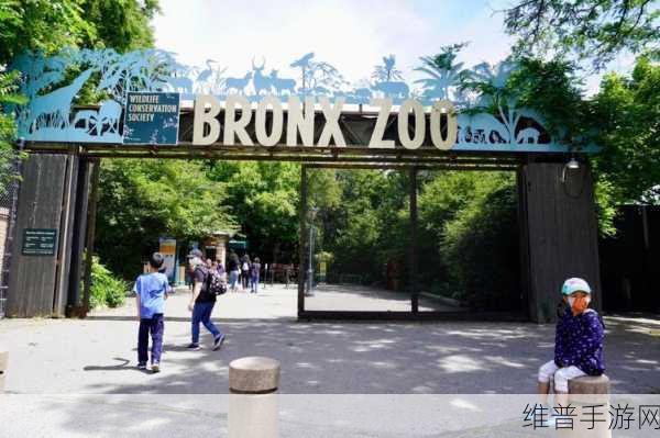 美国ZOOZOON：1. ZOOZOON：探索美国动物园的奇妙世界