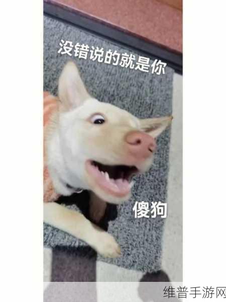 表情狗拯救难题，一场有趣刺激的手游冒险之旅