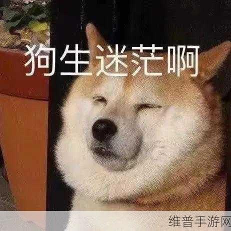 表情狗拯救难题,一场有趣刺激的手游冒险之旅