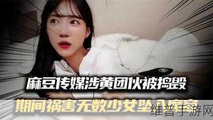 麻豆免费视频网站入口在线观看麻：以下是一些根据“麻豆免费视频网站入口”扩展出的新