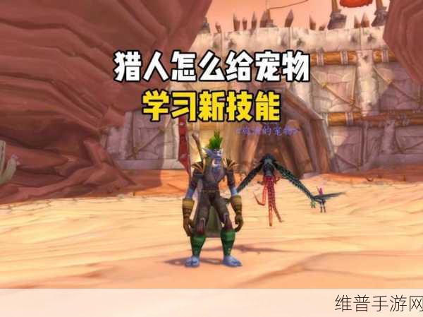 怀旧服猎人宝宝技能:怀旧服猎人宝宝技能全解析与新玩法探讨