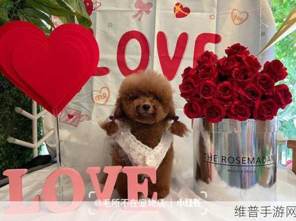 暴富宠物店红包版,萌宠养成与打工赚钱的梦幻之旅