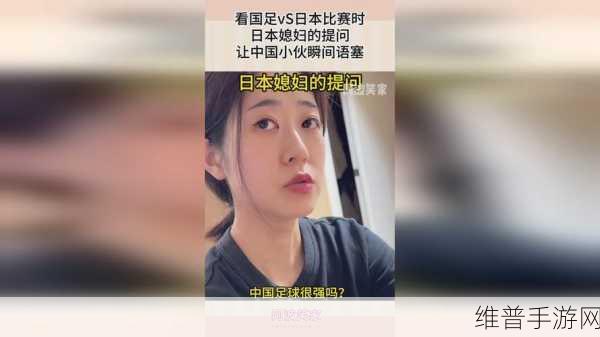17.c-起草国：以下是基于“17.c-起草国”主题扩展出的新