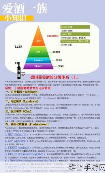 91精品产区和欧美产区的区别：1. 91精品产区与欧美葡萄酒风格的深度对比