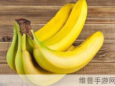 “香蕉视频”：1. 《香蕉视频：畅享精彩短片的乐趣