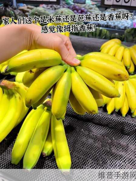 “香蕉视频”：1. 《香蕉视频：畅享精彩短片的乐趣