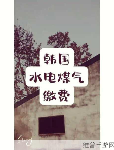 韩国三色电费免费吗：1. 韩国三色电费政策解析：免费背后的真相