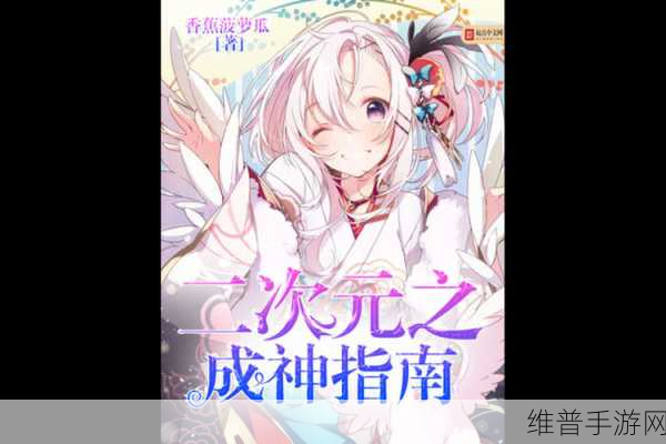 九州神姬传，二次元冒险之旅的全面指南