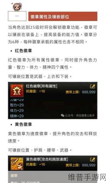DNF 手游徽章镶嵌卸下秘籍全知道
