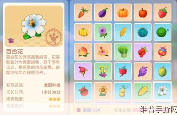 摩尔庄园手游，百合花种子获取全攻略