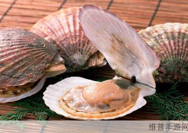 一人 上面 下感扇贝文章：1. ＂在感扇贝的世界中，探索情感与成长