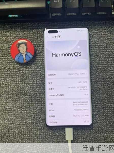 8x8x海外华为永久：1. 海外华为：开拓全球市场的新篇章