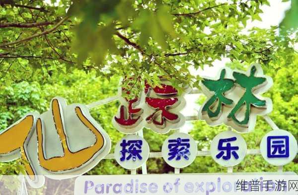 仙踪林幼儿company Limited：1. 仙踪林幼儿公司：为孩子们创造梦幻成长空间