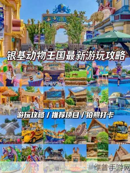 欢乐动物小镇，打造你的梦幻经营之旅游戏下载指南