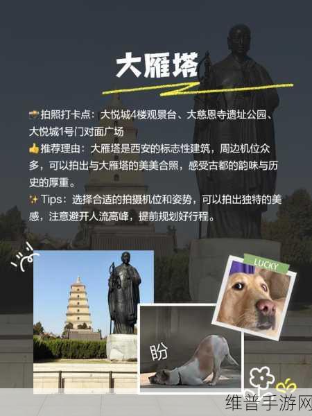 中文天堂：1. 中文天堂：探索中华文化的瑰宝之旅