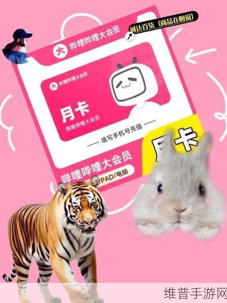 免费b站软件推广网站2023：1. 免费B站软件助你轻松畅享精彩视频体验