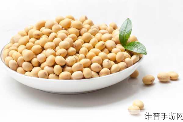 欧美破苞系列之二十三大豆行情:1. 大豆行情启示:全球市场趋势分析
