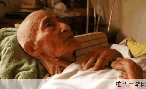 82岁老人找20多岁小伙子:1. 82岁老人逆袭,携手20多岁小伙共创青春传奇