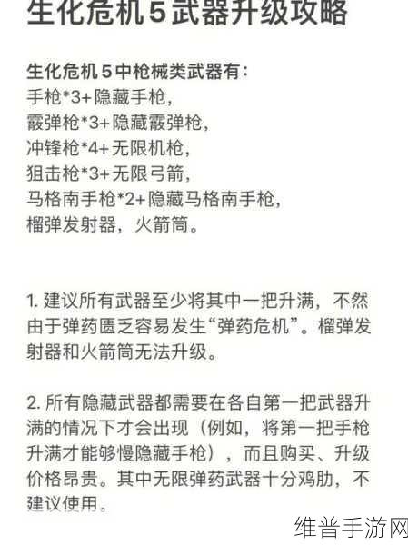 生化危机 5 手游联机秘籍，畅玩攻略全解析