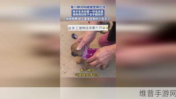 51吃瓜今日吃瓜:1. 深度剖析今日吃瓜事件背后的真相