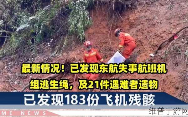 国内东航飞机坠毁啥原因,为啥不敢公布：东航飞机坠毁原因调查：真相为何迟迟未公开？