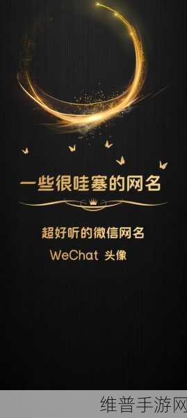tom地域网名入口github：以下是一些基于“tom地域网名入口github”的新标题建议，均不少于10个字：