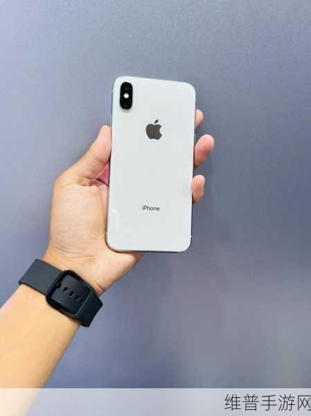 掌握 iPhone X 屏幕旋转，畅玩手游新体验