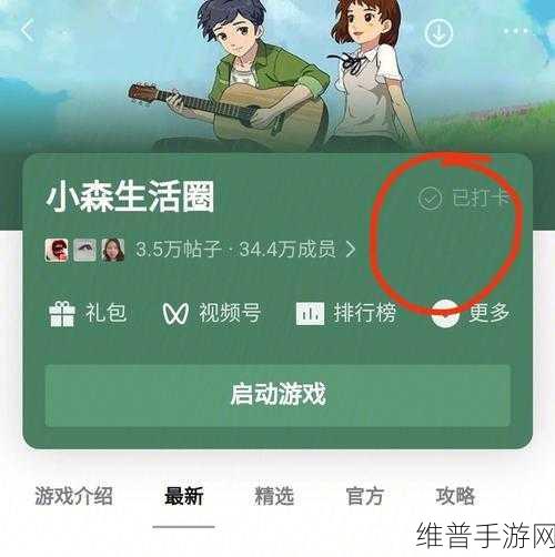 期待已久！小森生活国服公测时间大揭秘