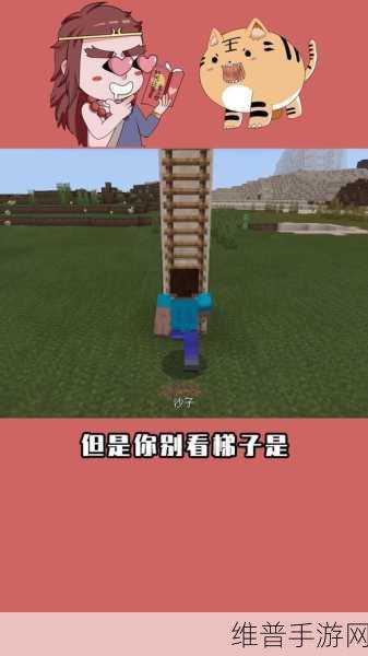 我的世界，梯子制作秘籍大公开
