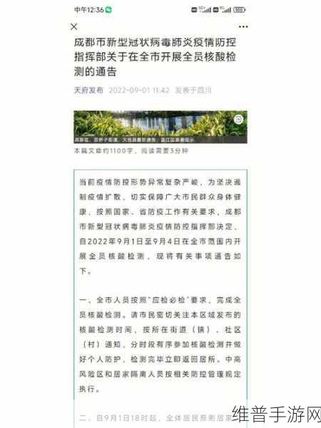 九.幺高危风险9.1免费版安装：九.幺高危风险9.1免费版：全面解析与防范指南