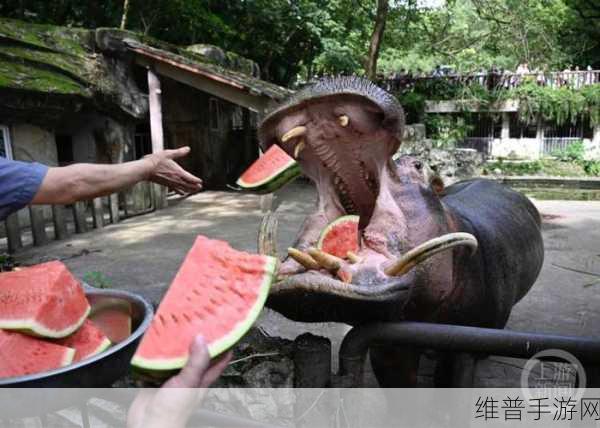 五一群众吃瓜往期回顾:1. “五一假期:吃瓜群众的欢乐盛宴!”