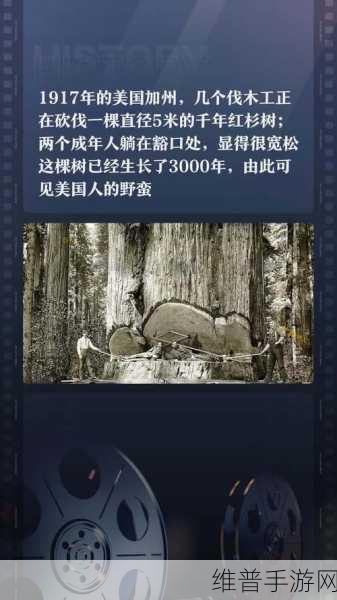 伐木工之主，探索丰富伐木乐趣的奇妙之旅