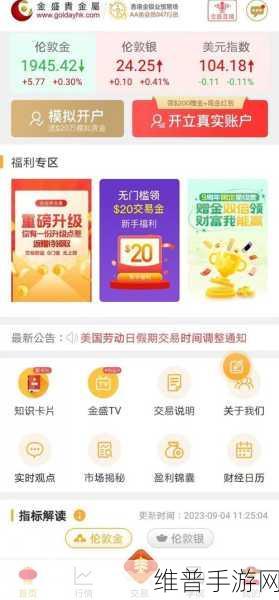 黄金网站app观看大全电子书：1. 深入探讨：黄金投资的策略与市场分析